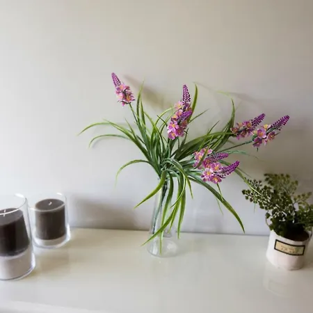 Casa Da Bi Semesterbostad Arcos de Valdevez